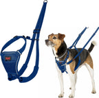 Halti No Pull Harness - Stop Your Dog Pulling on the Leash. Adjustable, Lightweight and Easy to Use. Reflective Dog Training Harness for Medium Dogs (Size M, Black) - Image 14