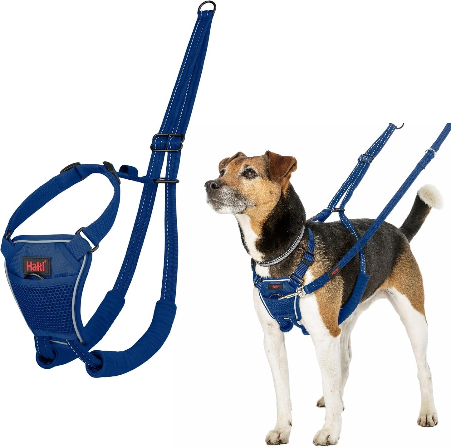 Halti No Pull Harness - Stop Your Dog Pulling on the Leash. Adjustable, Lightweight and Easy to Use. Reflective Dog Training Harness for Medium Dogs (Size M, Black) - Image 14