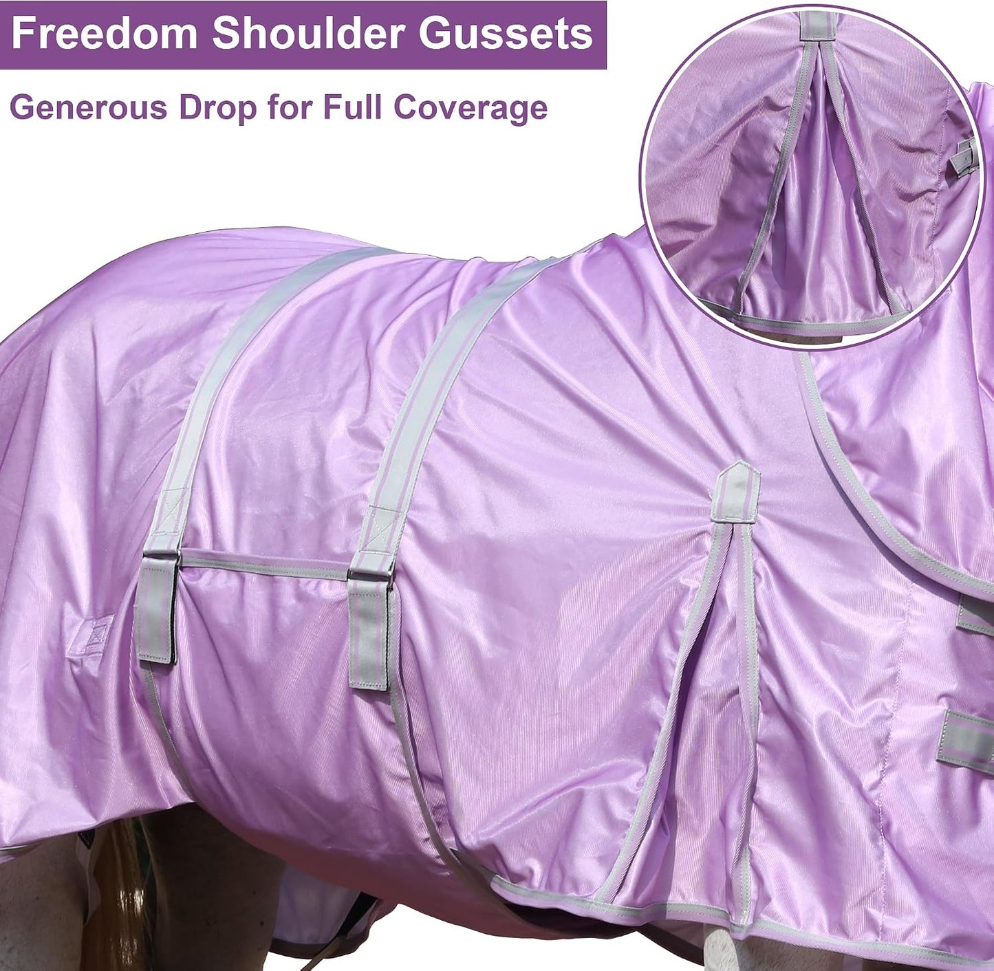 Rear view of horse wearing purple Leaforest fly sheet