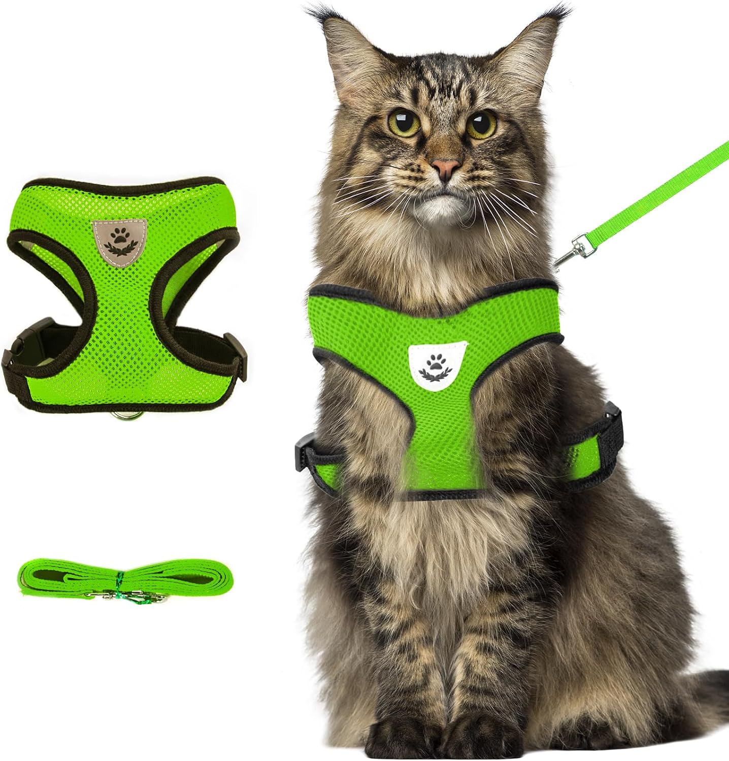 Lightweight no pull cat harness on a Persian cat model view