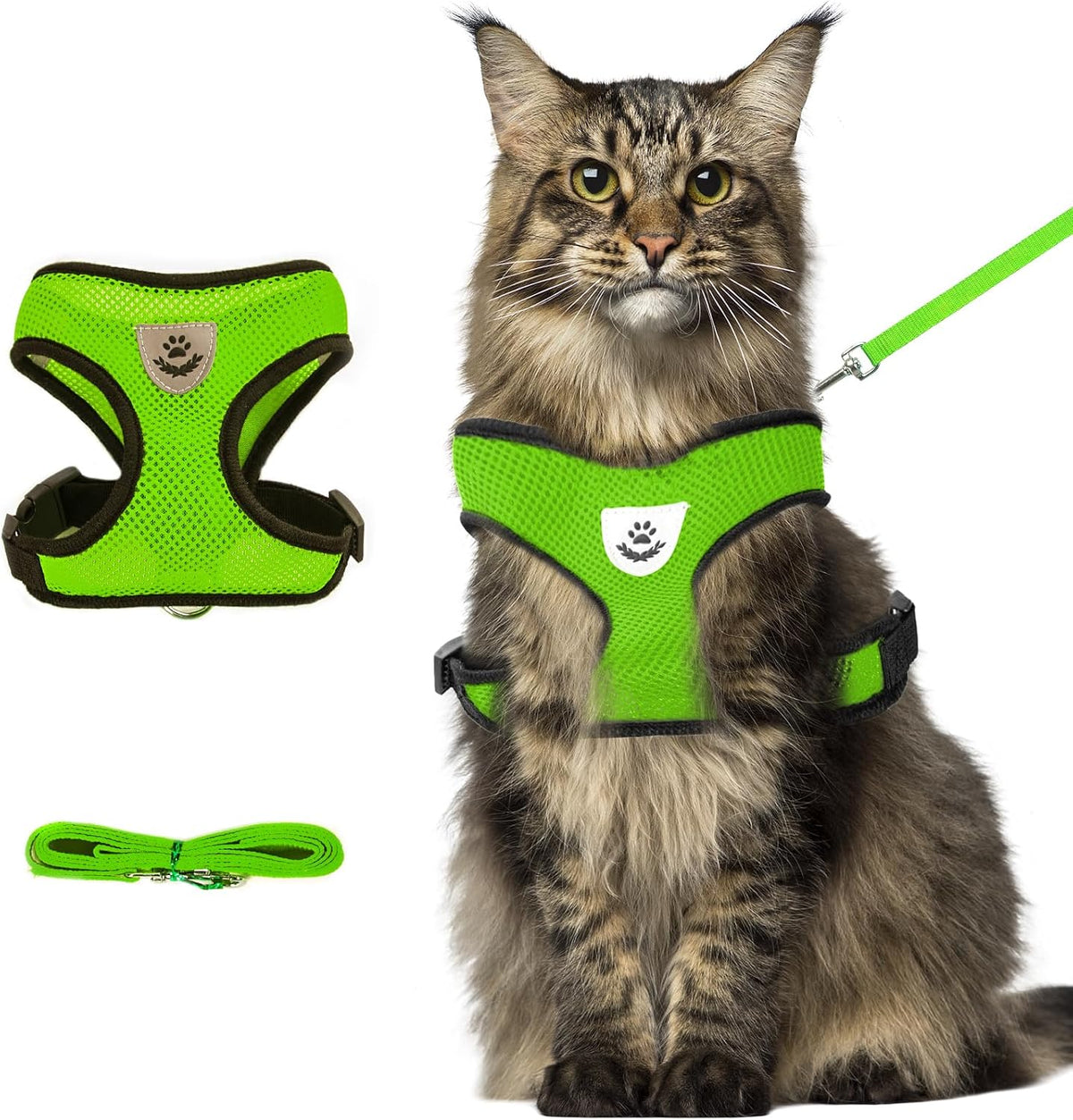 Lightweight no pull cat harness on a Persian cat model view