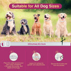 Dog wearing waterproof natural flea and tick collar for outdoor protection