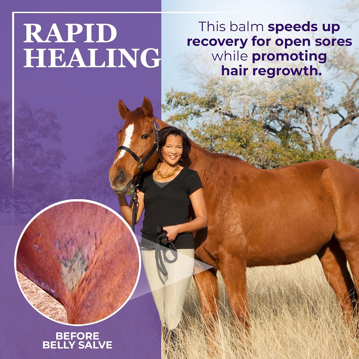 Natural soothing horse salve for sweet itch treatment