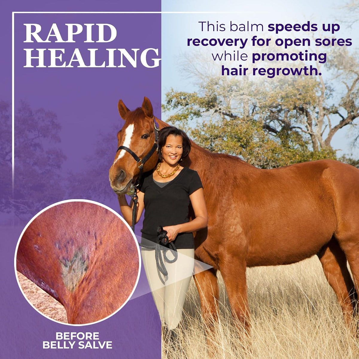 Natural soothing horse salve for sweet itch treatment