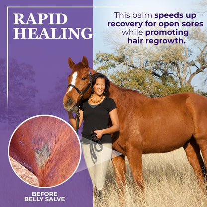 Natural soothing horse salve for sweet itch treatment