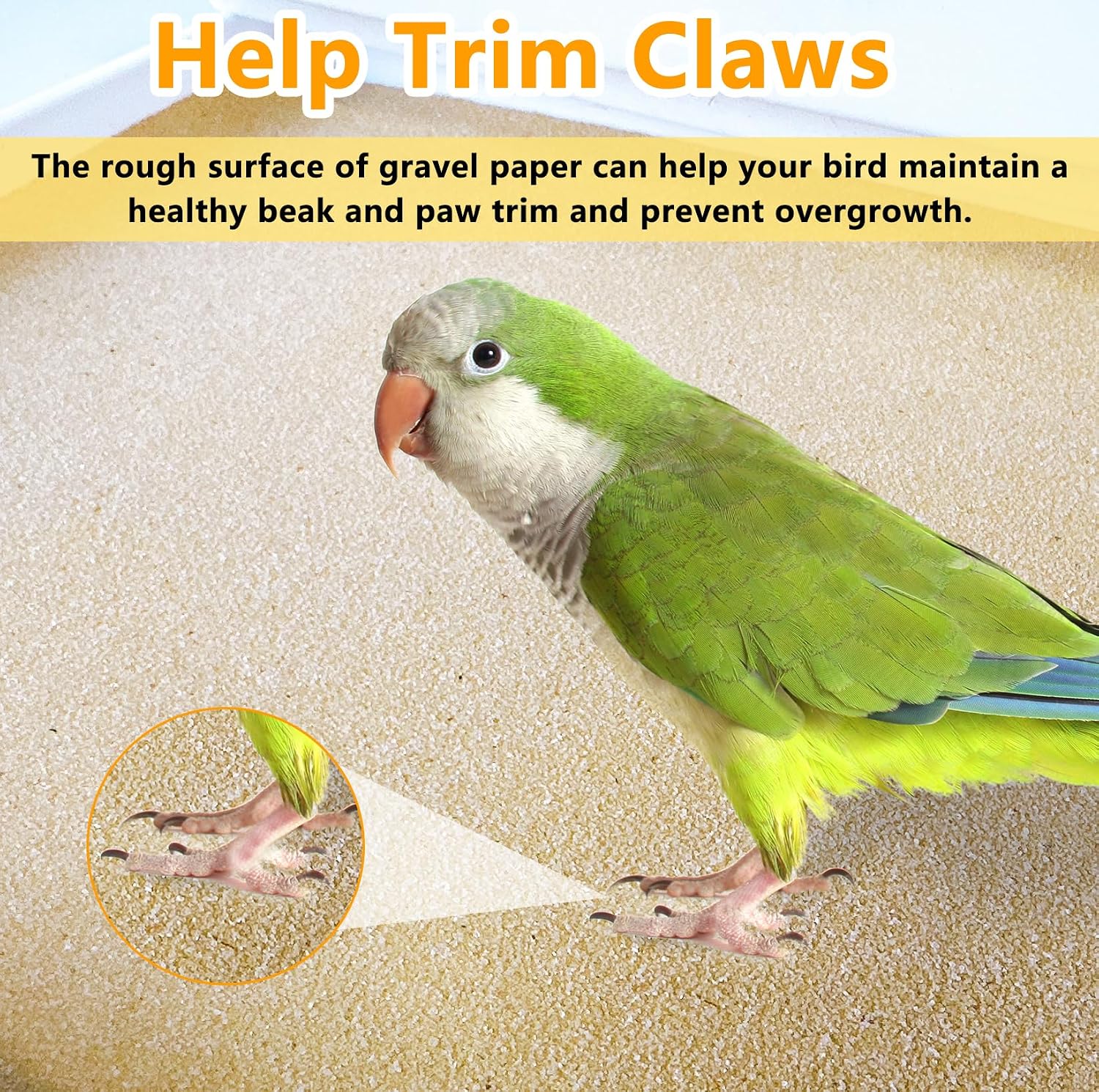 Acsist bird cage liners placed in a parrot cage