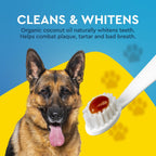 Side view of Radius pet toothpaste showing cinnamon sweet potato flavor
