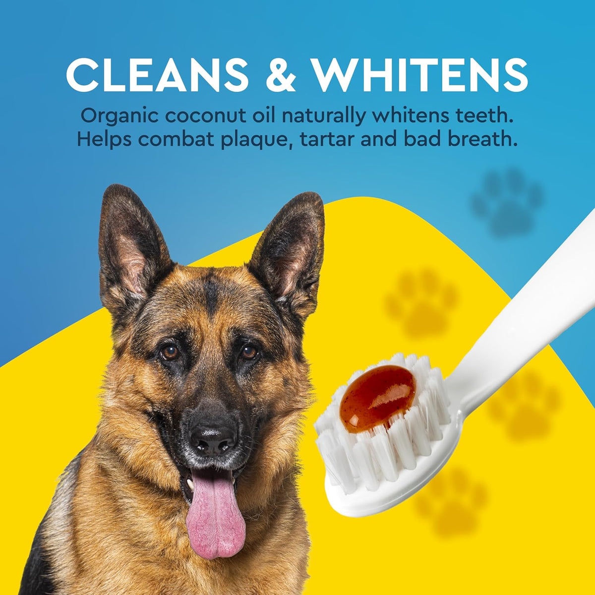 Side view of Radius pet toothpaste showing cinnamon sweet potato flavor