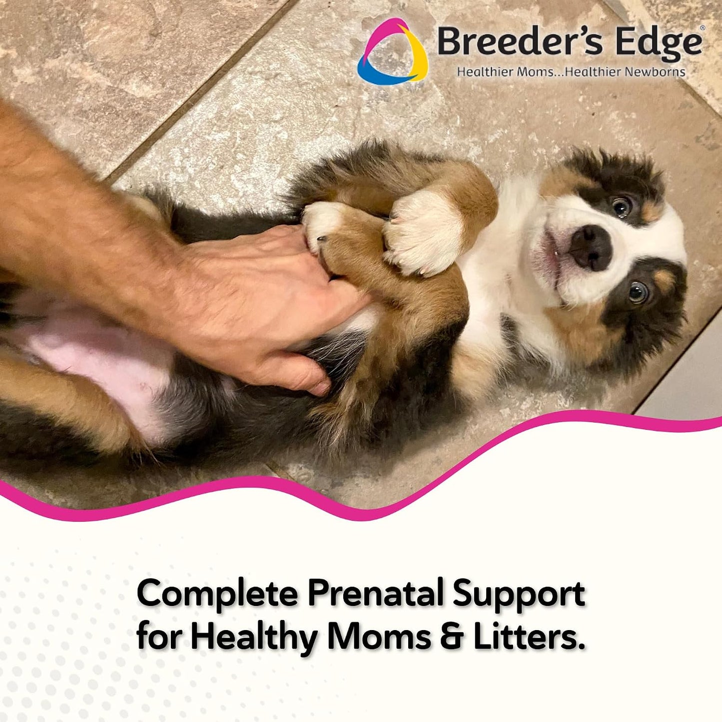 Breeders Edge Oxy Mate prenatal soft chews bottle showing feeding instructions and dosage
