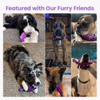 Authentic HGB imported dog toy for medium and large breeds