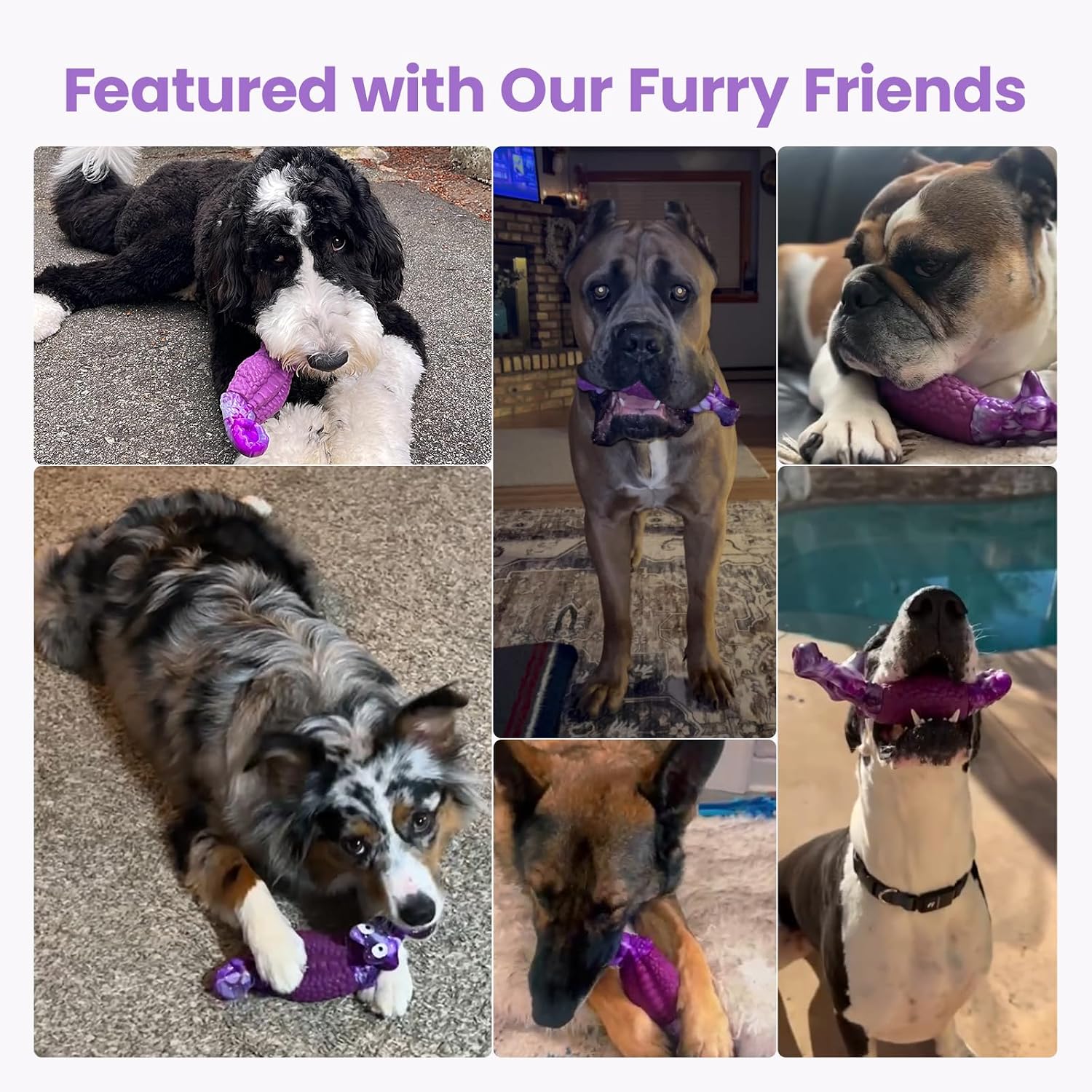 Authentic HGB imported dog toy for medium and large breeds