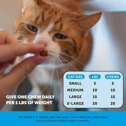 Comparison of cat skin health before and after using Pet Honesty
