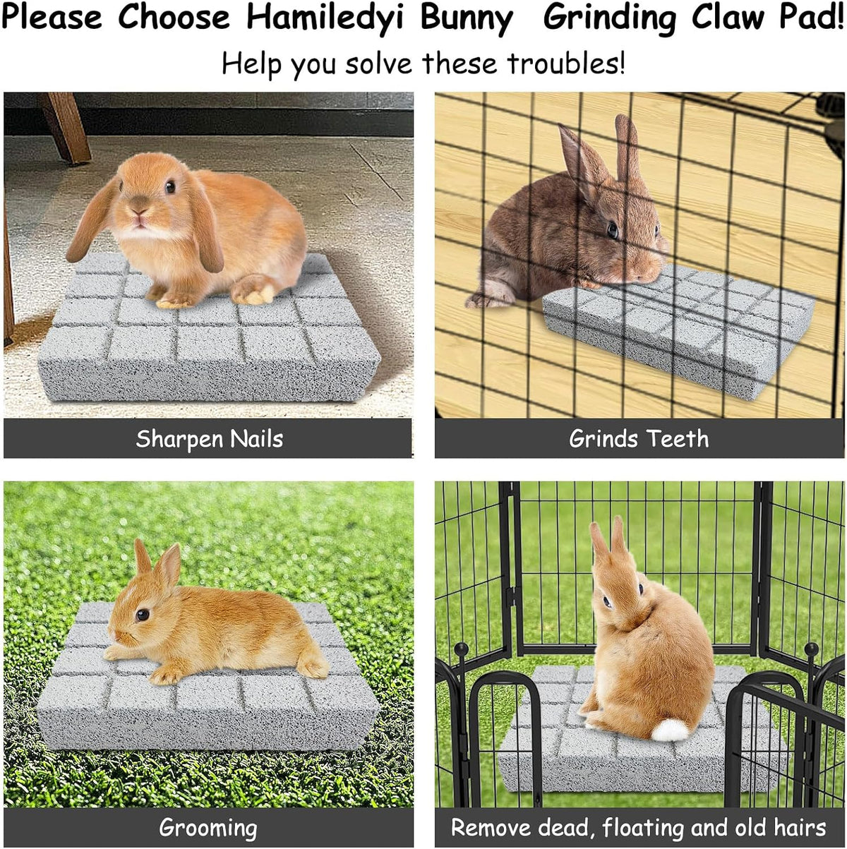 Hamiledyi chinchilla and guinea pig cage accessories showcasing the secure placement of the stone on an enclosure floor.
