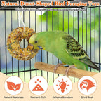 Fhiny 4 pieces bird snack set unpacked