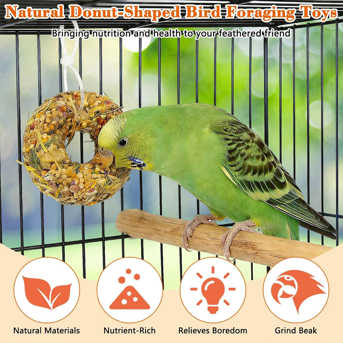 Fhiny 4 pieces bird snack set unpacked