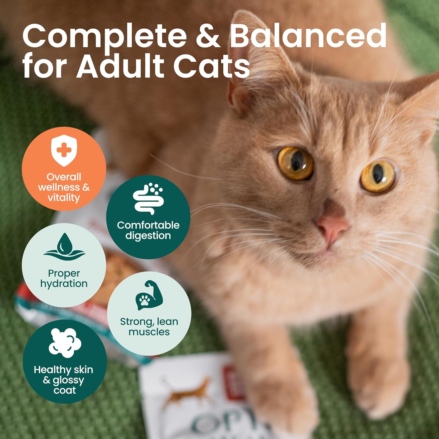 Optimeal high protein wet cat food variety pack showing nutrition facts and benefits