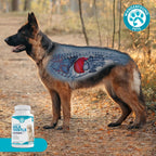Healthy dog happy after taking liver support chewable