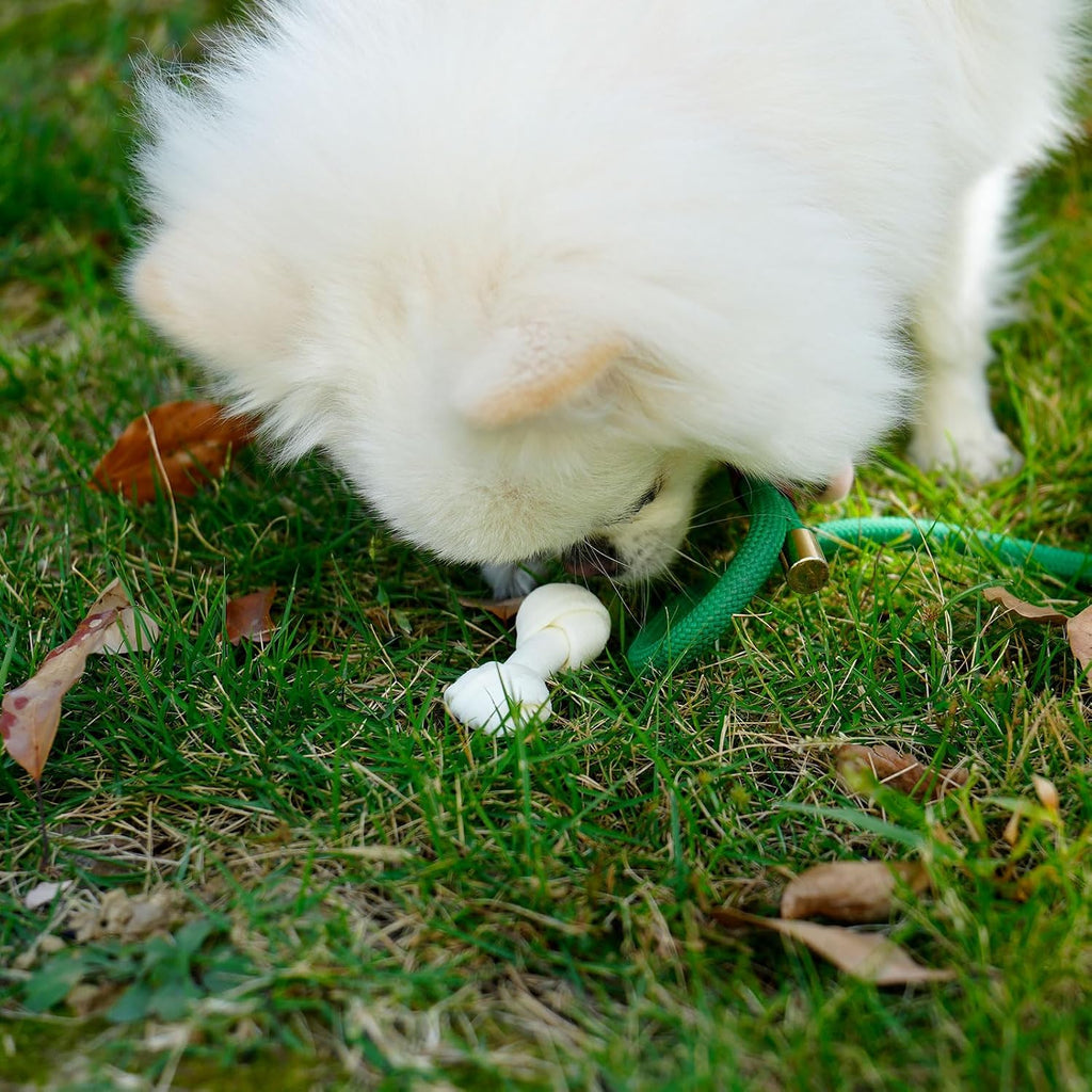 MON2SUN healthy pet rawhide knot bones unboxed display