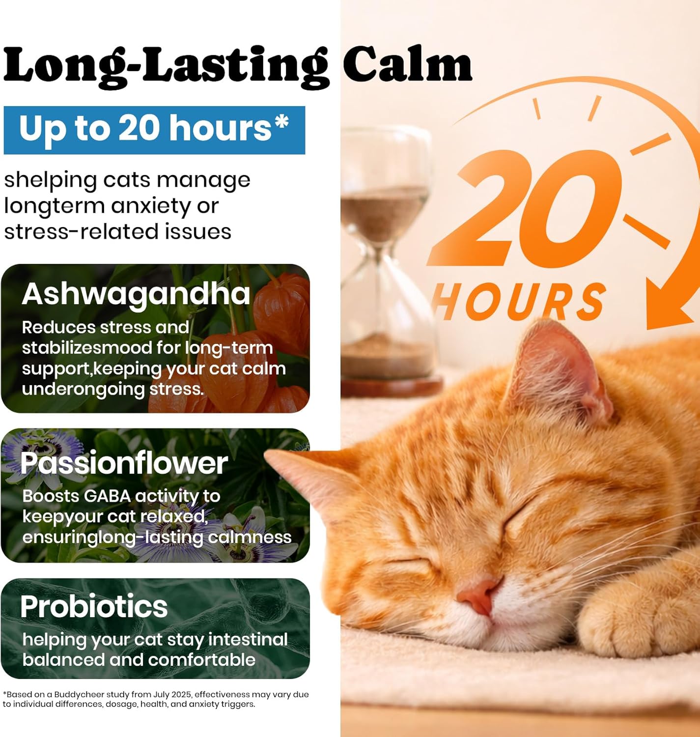BuddyCheer natural calming treats for cats experiencing separation or travel stress