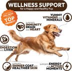 Chicken flavored mushroom soft chews for dogs on a white background showing real texture.