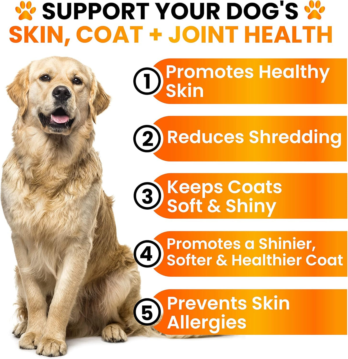 Grateful Pawz dog allergy and itch relief chicken flavor supplements close up jar view.