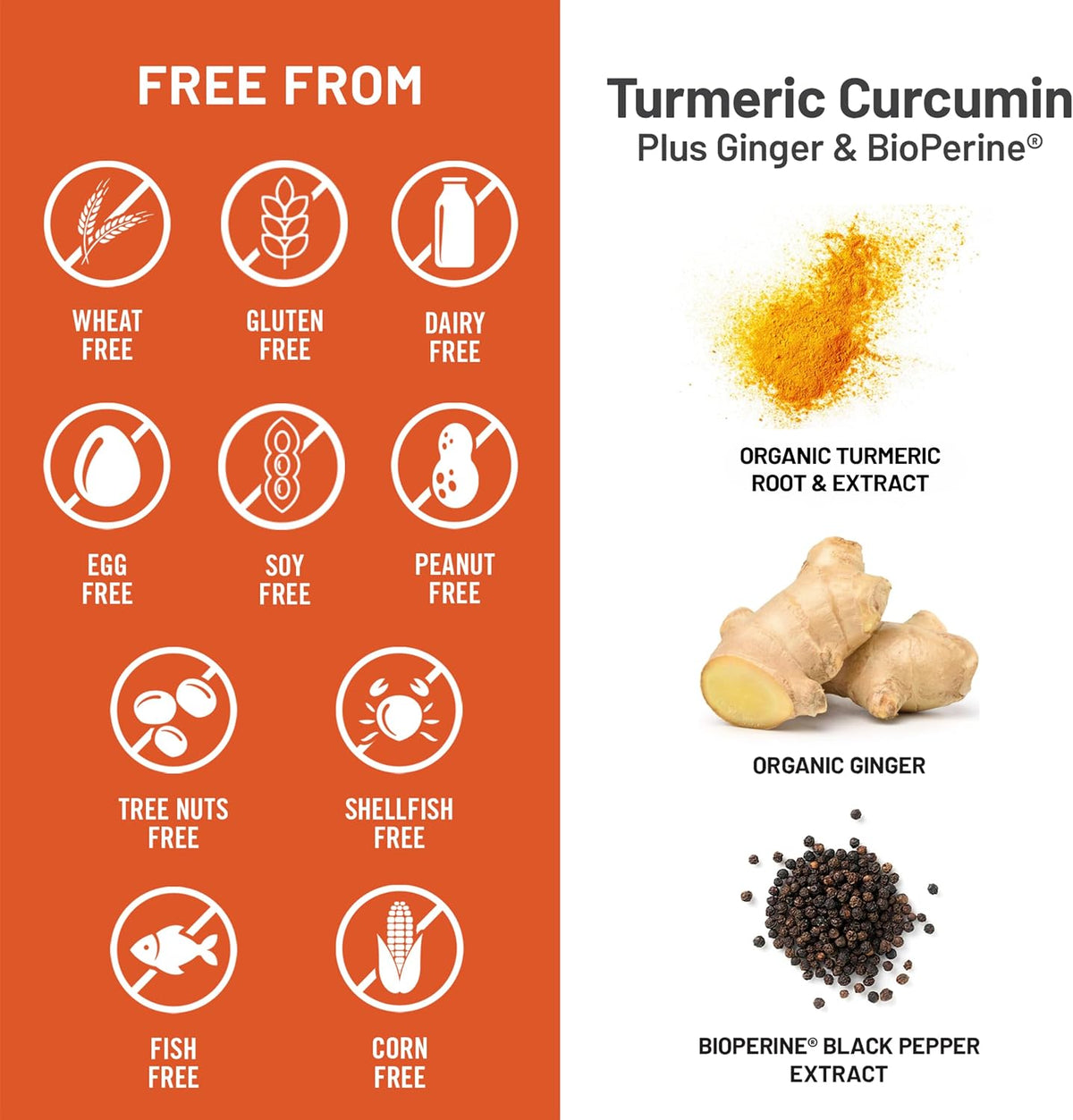 Nutritional breakdown graphic showing curcuminoids and BioPerine absorption enhancement details