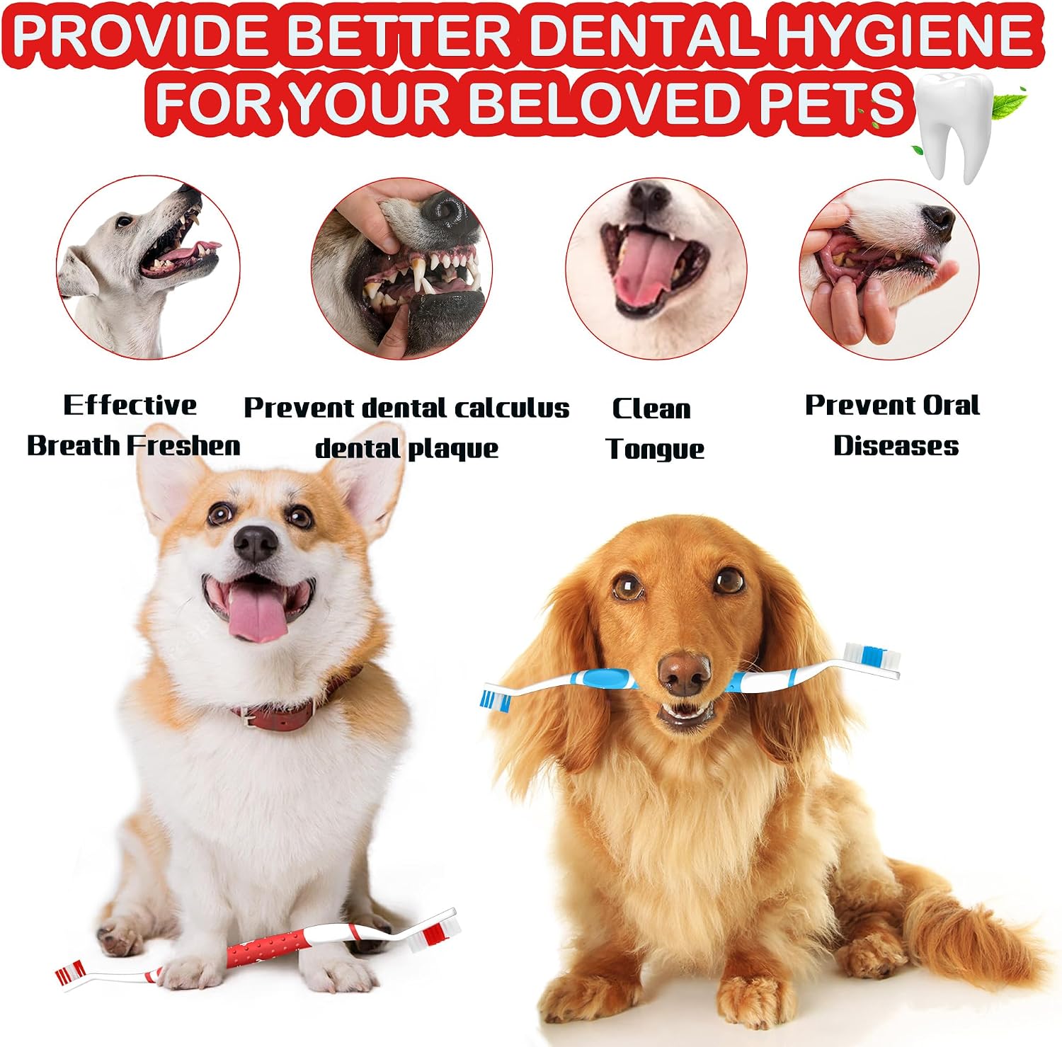 Top view of PenVinoo dual head toothbrush for large dogs