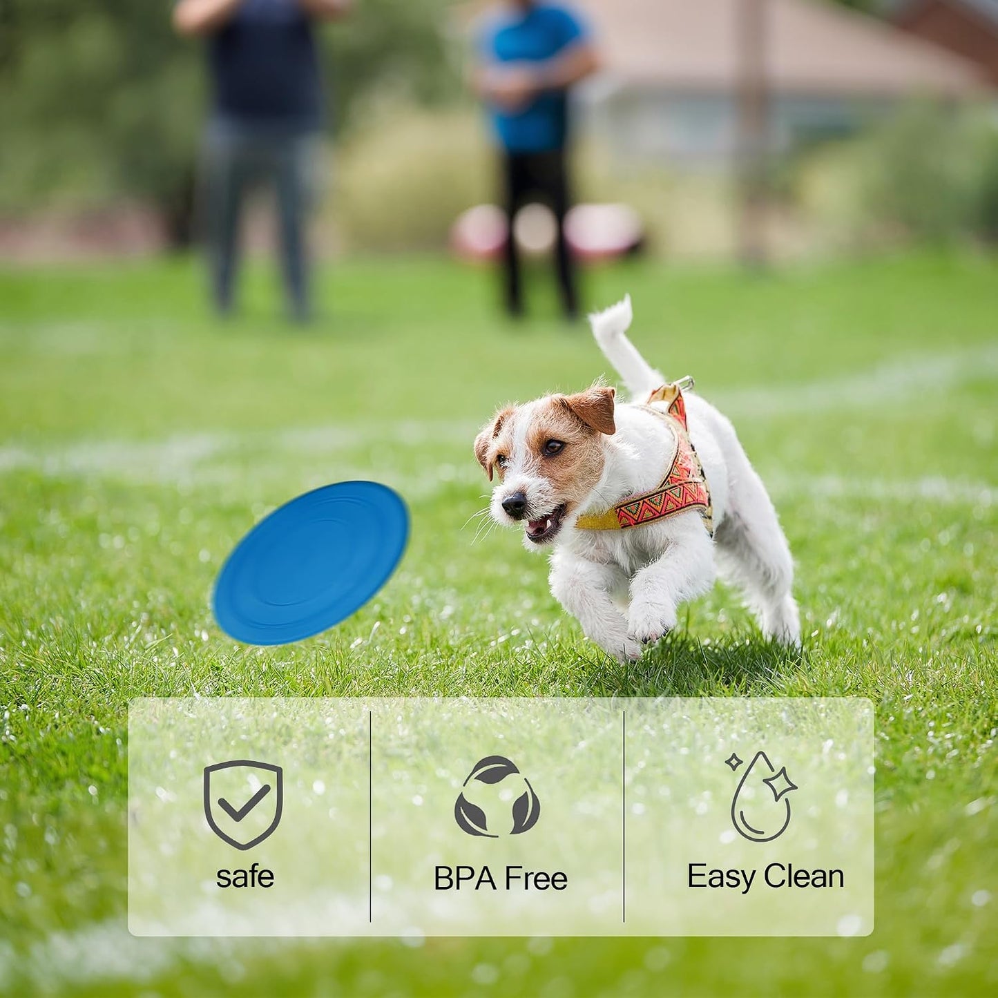 RSSLygaeonix dog frisbee showing aerodynamic grooves