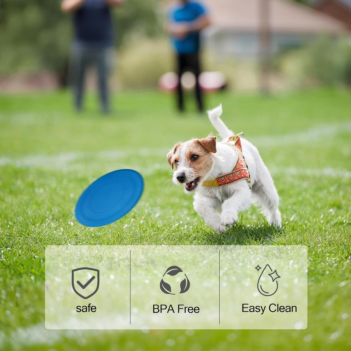 RSSLygaeonix dog frisbee showing aerodynamic grooves