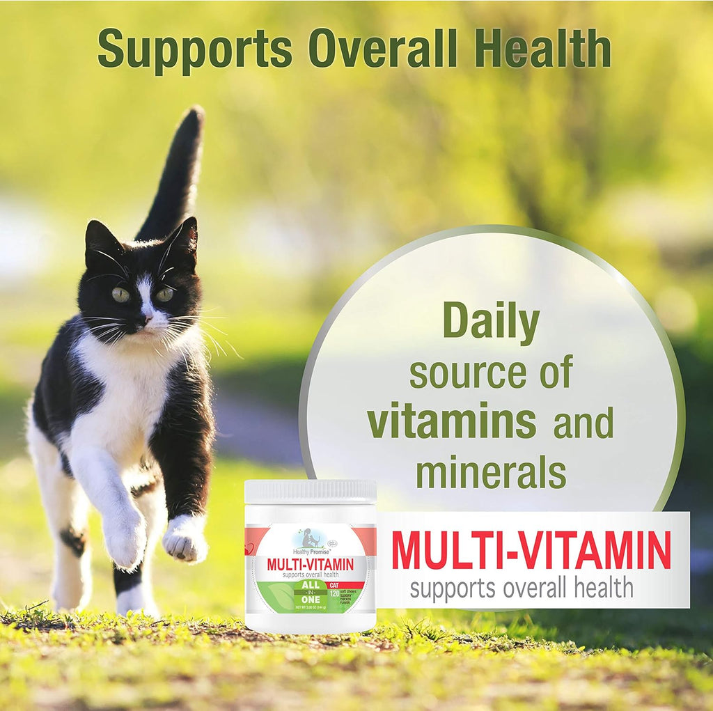 Four Paws Healthy Promise supplement container with key benefits highlighted