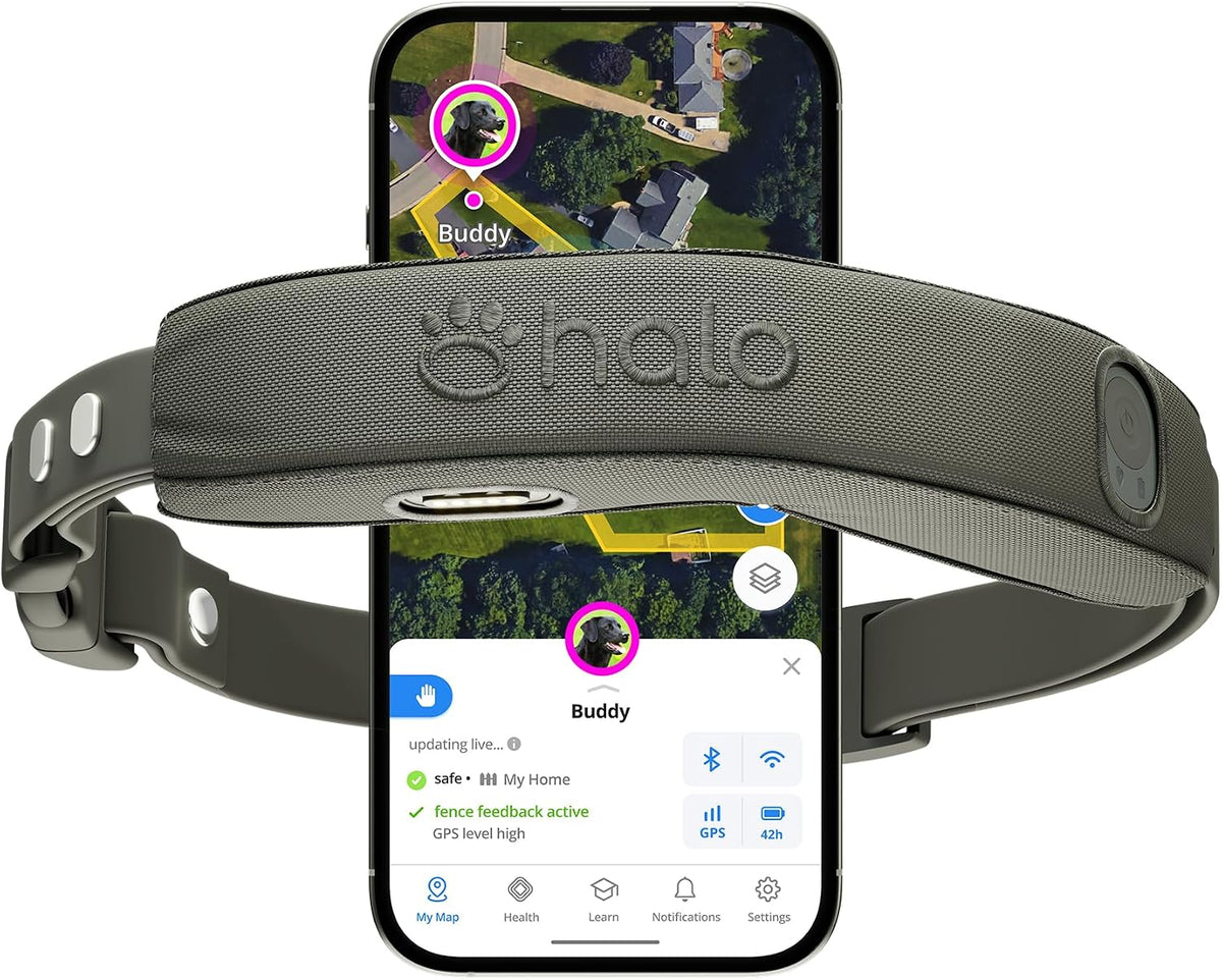 Halo Collar 5 Wireless Dog Fence & GPS Dog Collar, Keep Your Dog Safely Contained Outdoors with App-Controlled Boundaries and Real-Time Tracking, One Size, Orchid - Image 10