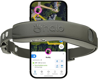 Halo Collar 5 Wireless Dog Fence & GPS Dog Collar, Keep Your Dog Safely Contained Outdoors with App-Controlled Boundaries and Real-Time Tracking, One Size, Orchid - Image 10