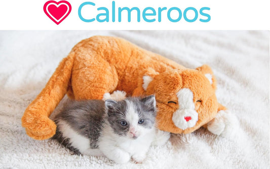 Calmeroos pet calming plush with removable heartbeat simulator device
