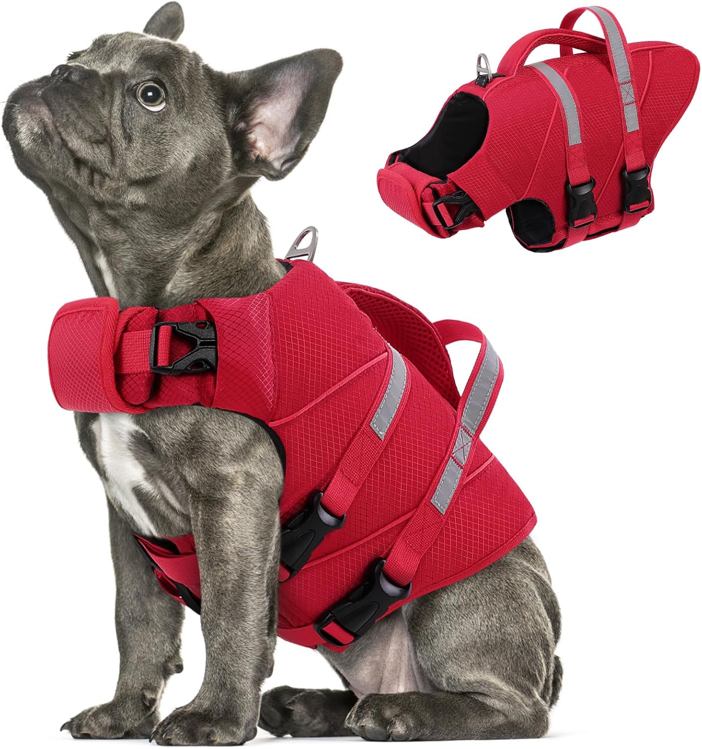 Queenmore Small Dog Life Jacket for Swimming, Boating & Beach, High-Visible Ripstop Lightweight Pet Life Vest with Rescue Handle & Leash Hook for Puppies 8-15 lbs, Orange - Image 9