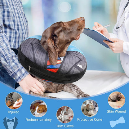 Soft pet recovery collar after surgery preventing licking or biting