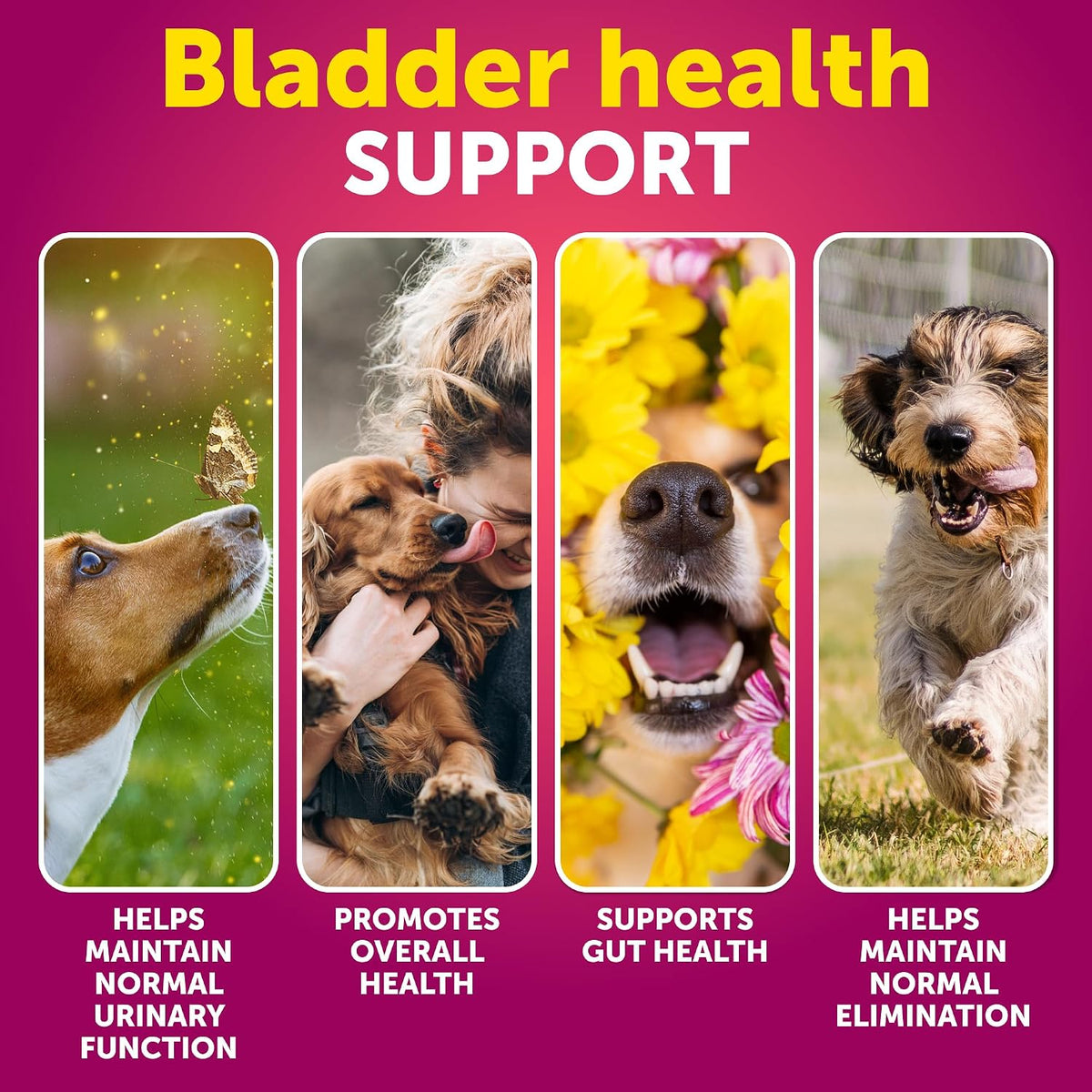 Artullano advanced bladder health soft chews for canine urinary tract care.