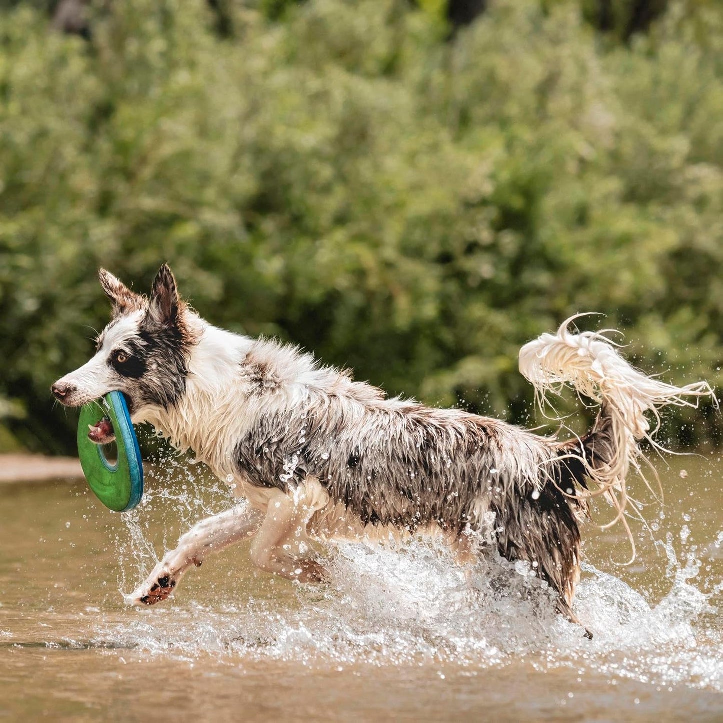 Aerodynamic polyester canvas dog toy flying through the air in an open park.