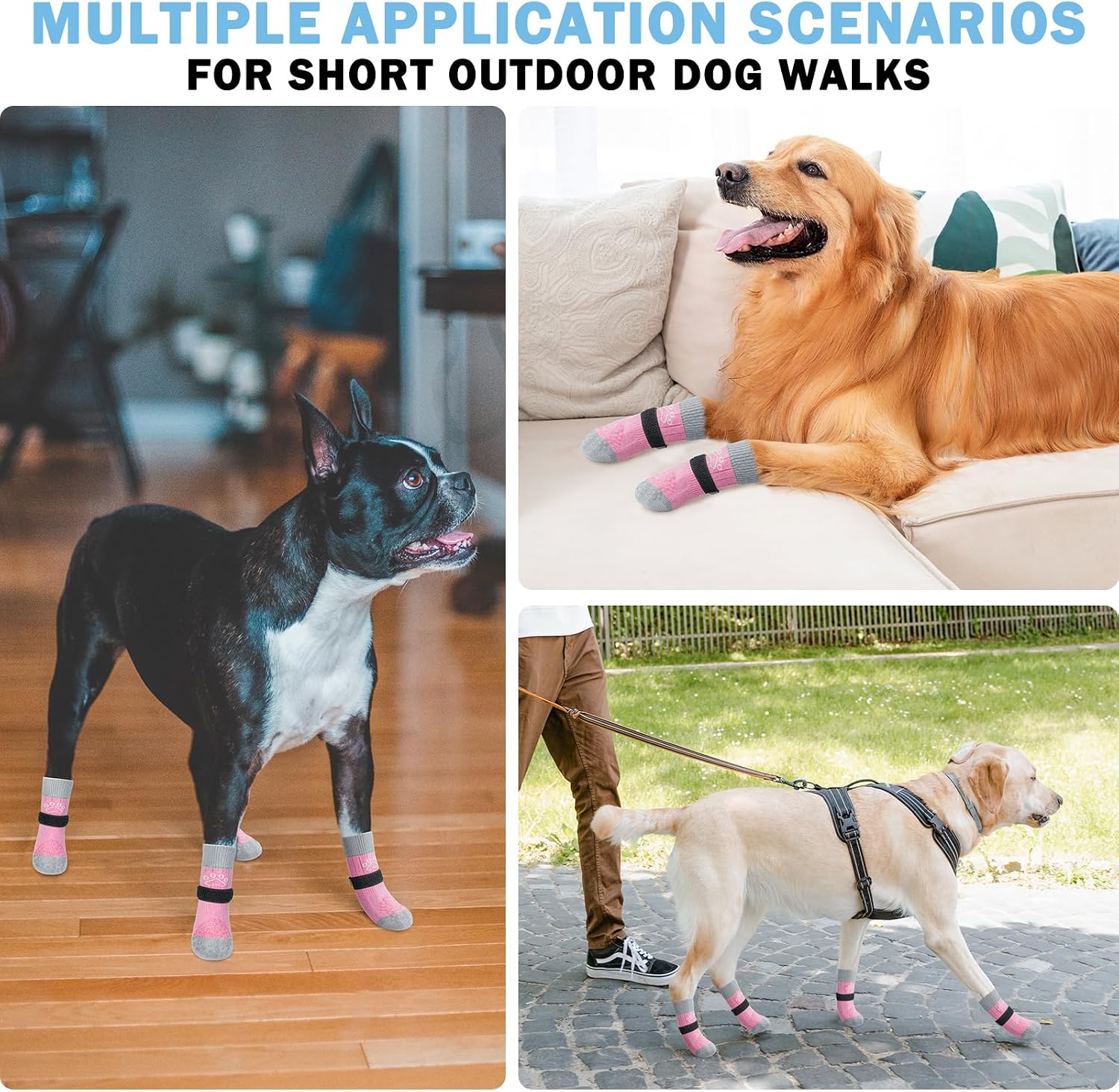 Close up of silicone grips on Scenereal dog socks.
