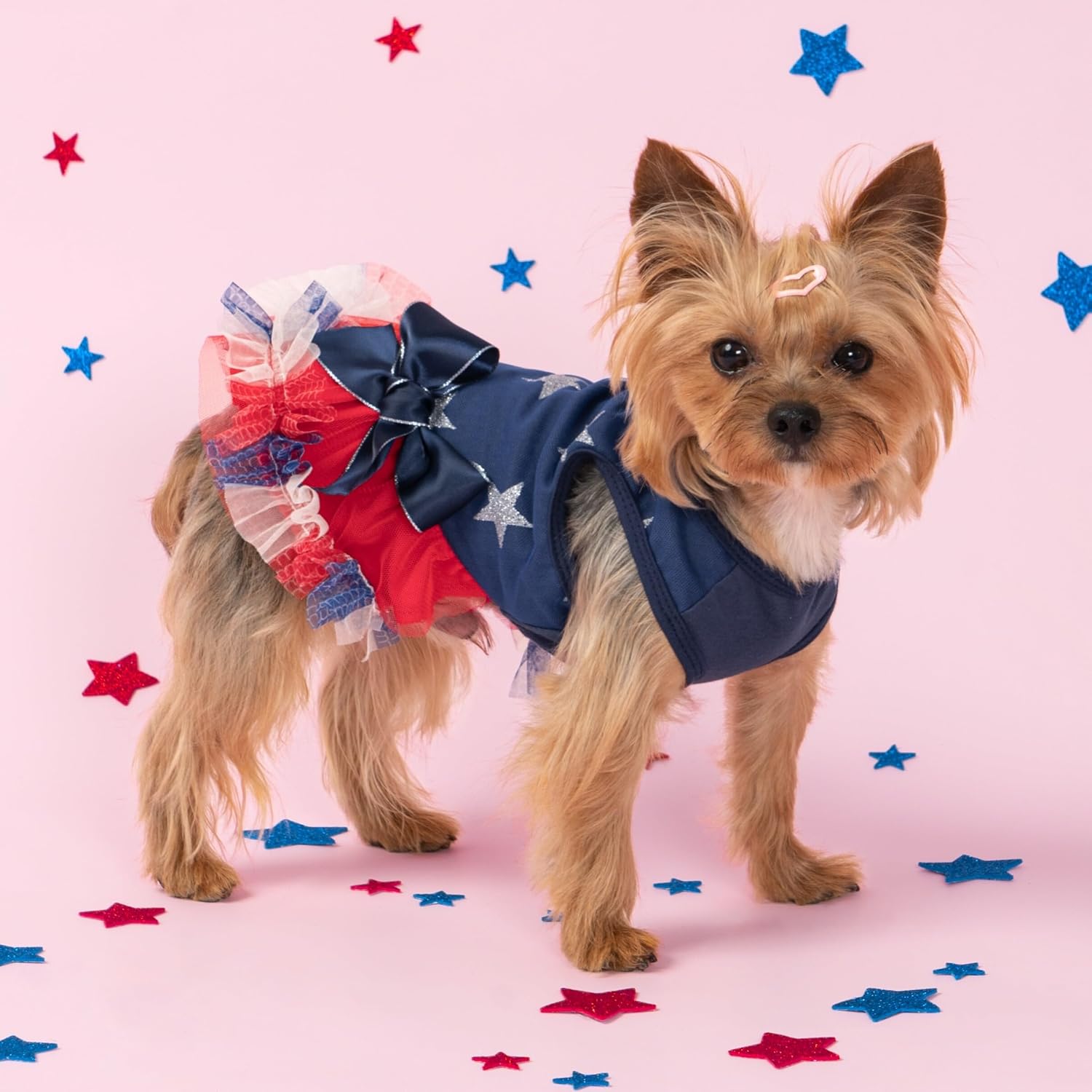 Fitwarm royal blue sleeveless celebratory dress for female dogs
