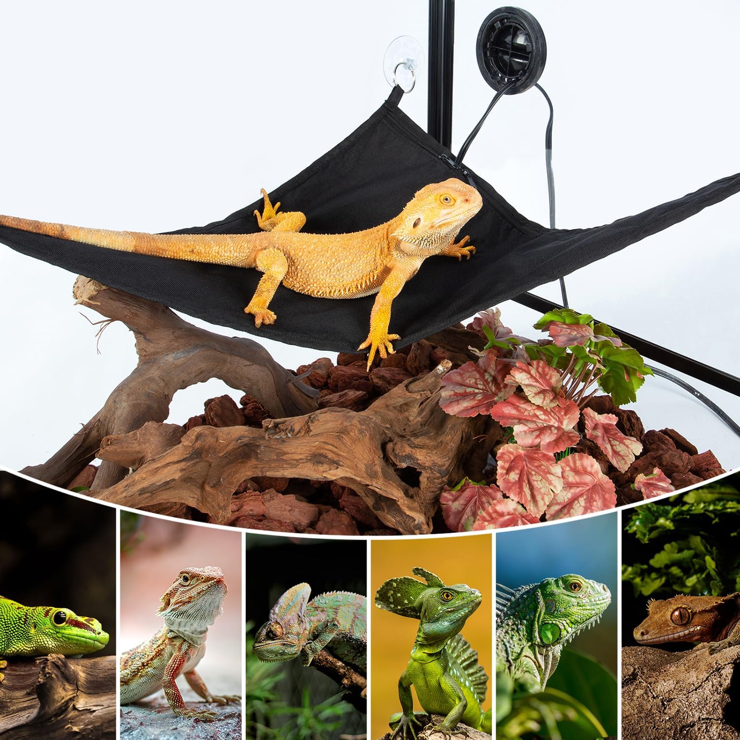 REPTI ZOO Reptile Heating Hammock, Reptile Hammock and Reptile Heating Pad with Dimming Temprature Controller 2-in-1 for Chameleon, Lizard, Gecko, Iguana - Image 9