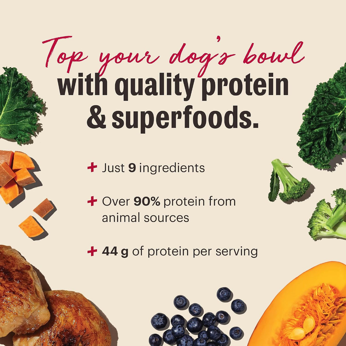 High protein chicken and superfood dog food topper 12 ounce bag