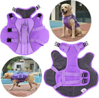 High buoyancy dog swimming vest flat layout highlighting the thick padding