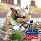 Barkworthies 6 inch dental chews pack of 24