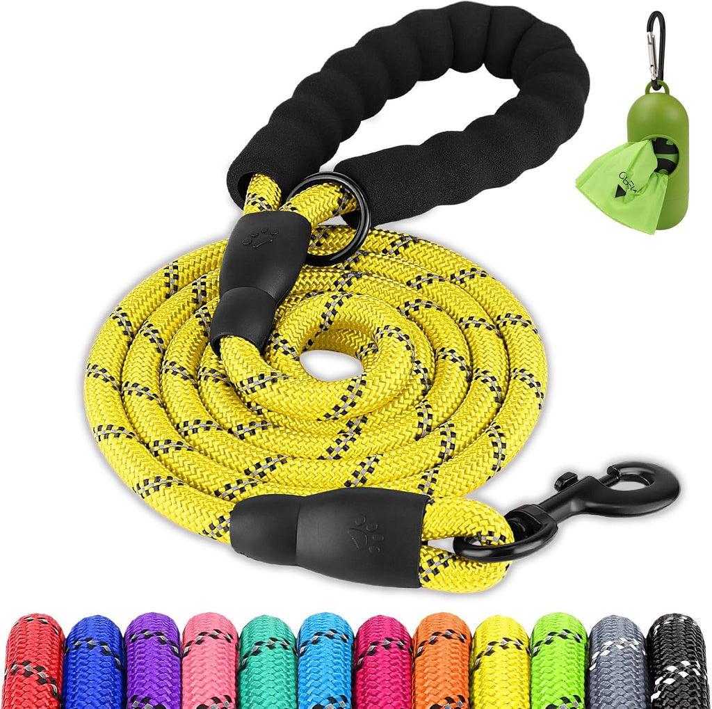 Joytale premium imported black dog leash with hands free waste bag holder