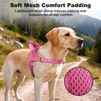 APAKBAK pink pet harness double clip design showing front and back rings
