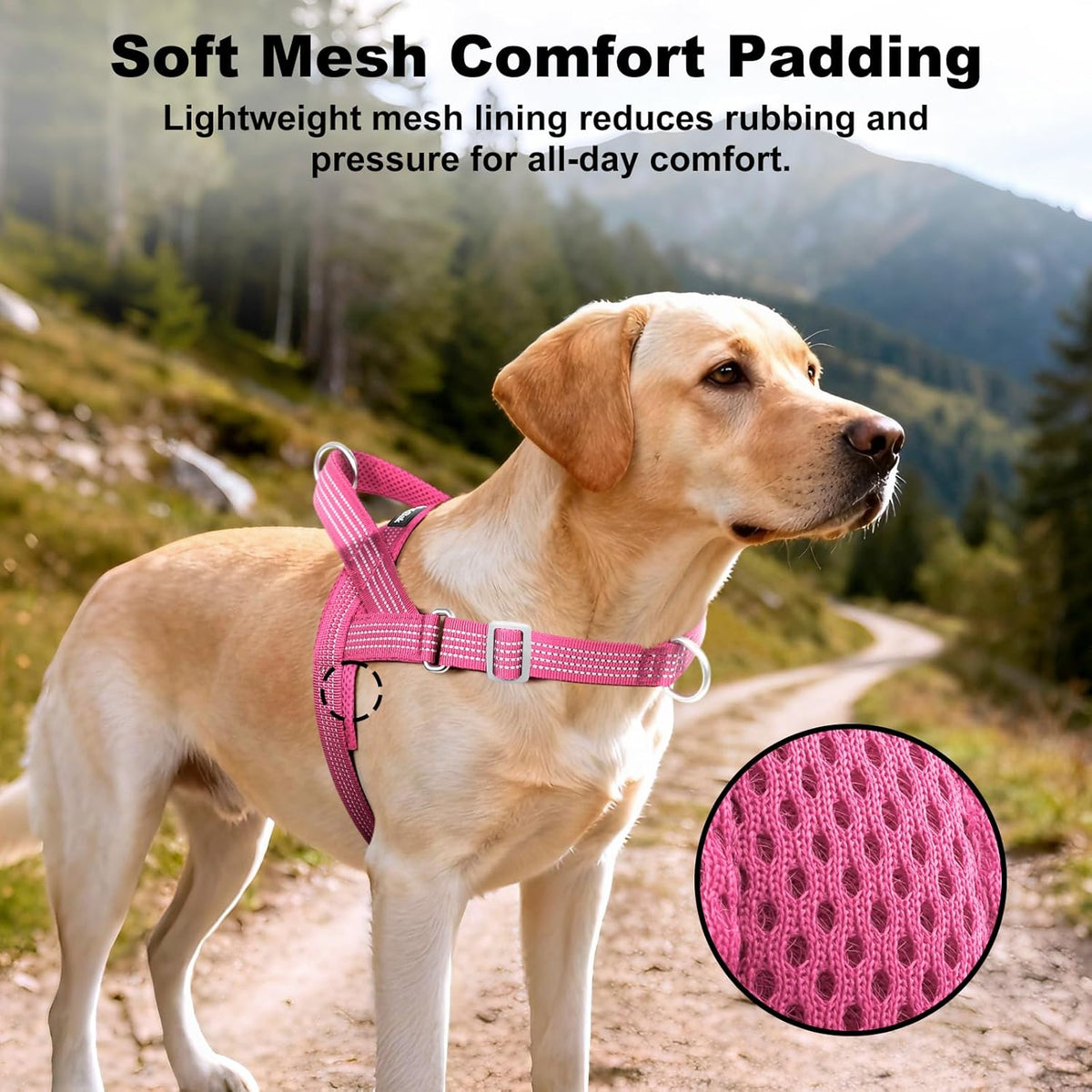 APAKBAK pink pet harness double clip design showing front and back rings