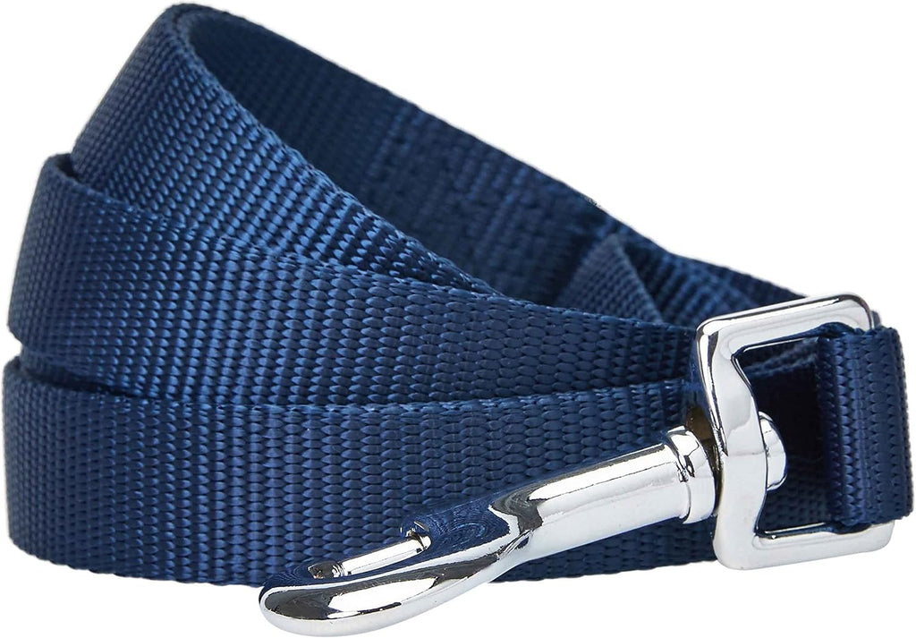 Blueberry Pet Essentials Marina Blue Dog Leash for Large - 4' * 1" Dogs | Heavy Duty Nylon Lead | Lightweight Puppy & Cat Leash for Walking & Training - Image 10