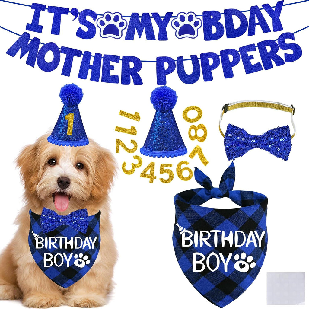 STMK dog birthday decorations kit front view showcasing blue plaid bandana and hat