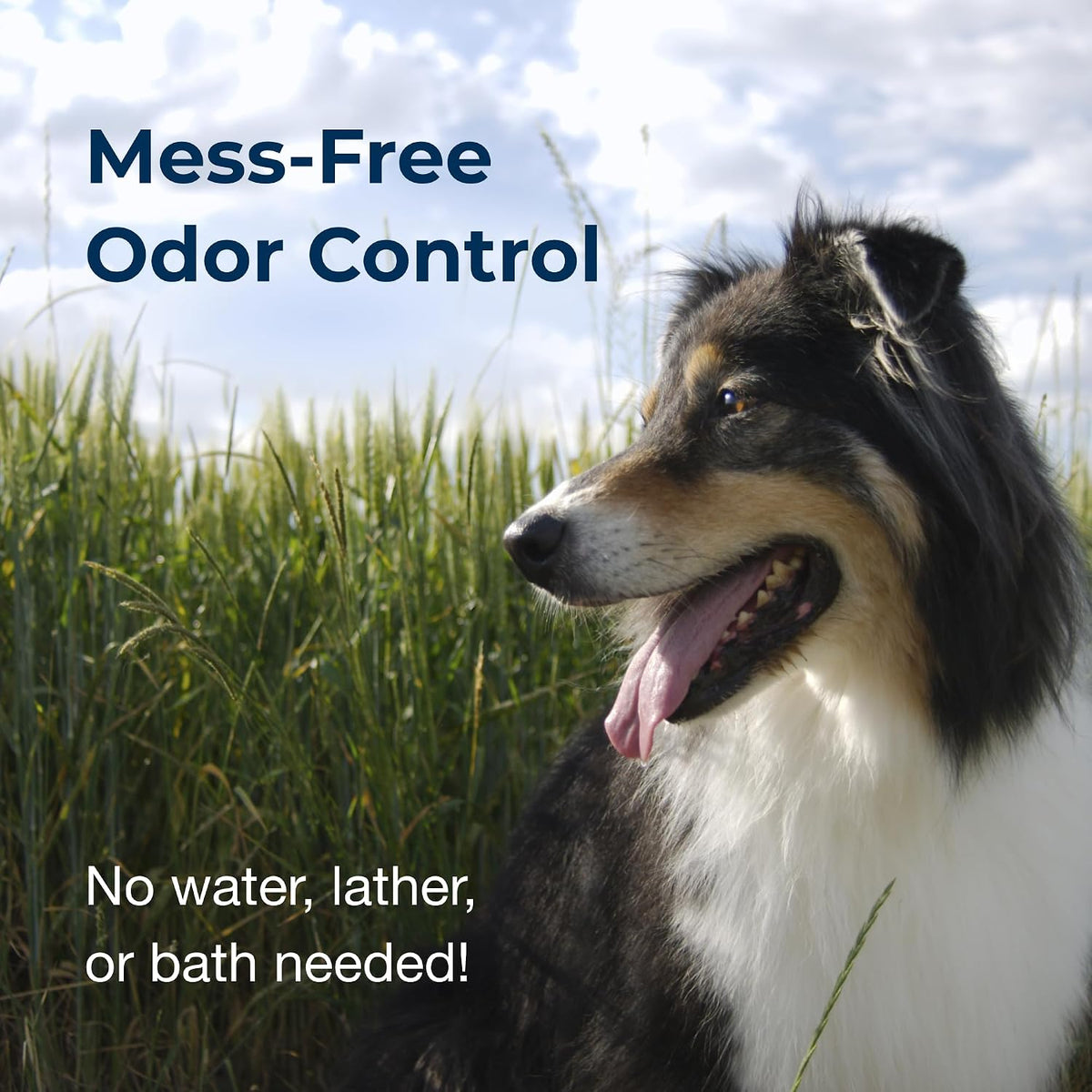 Premium PetAg deodorizing cologne can for professional dog grooming at home