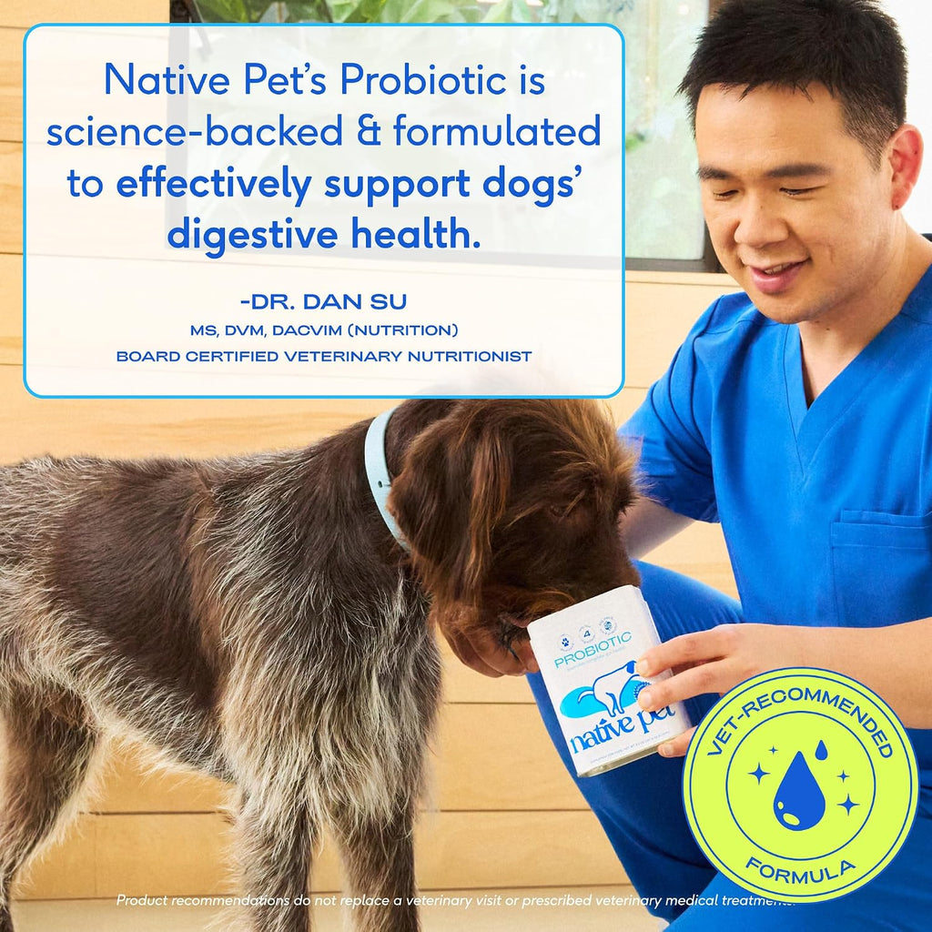 Dog probiotic with organic pumpkin seed and beef broth